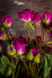 Similar image 10872669