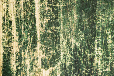 Similar image 10872670