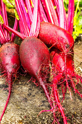 Similar image 10872713