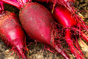 Similar image 10872745