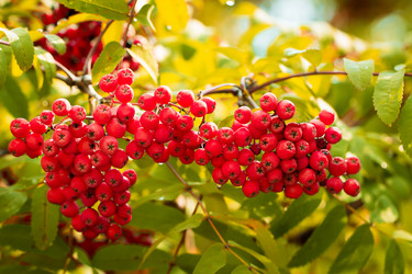 Similar image 10872726