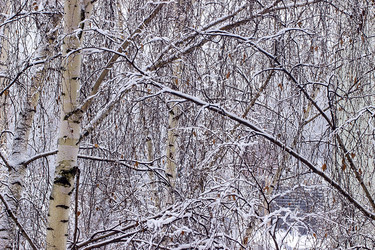 Similar image 10872731