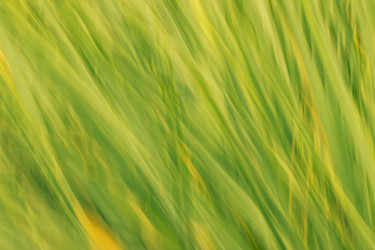 Similar image 10872736