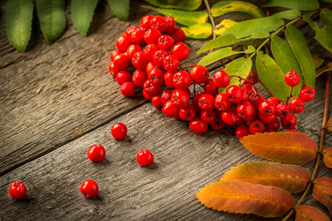 Similar image 10872766