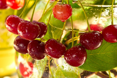 Similar image 10873011