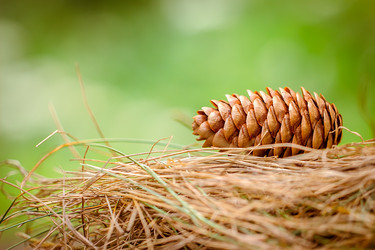 Similar image 10873304