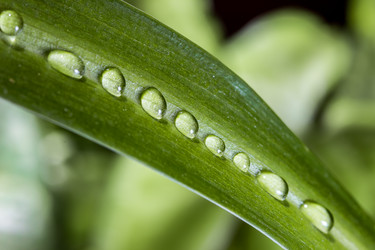 Similar image 10873353