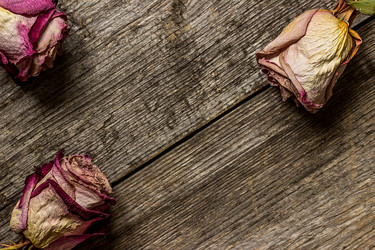 Similar image 10873390