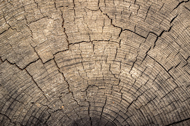 Similar image 10872393