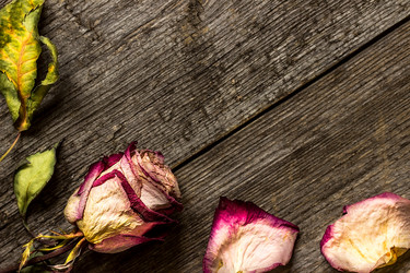 Similar image 10872395