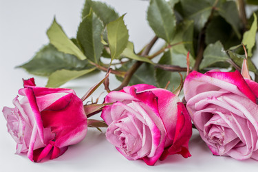 Similar image 10872396