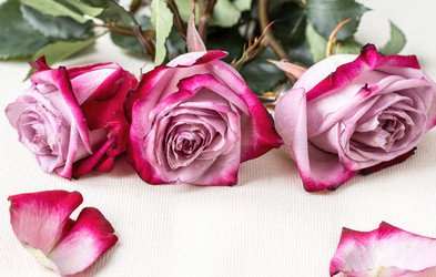 Similar image 10872429