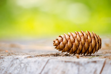 Similar image 10872431