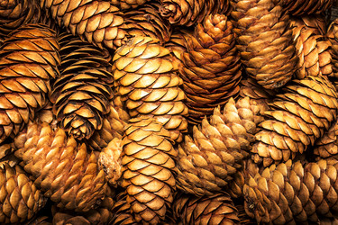 Similar image 10872432