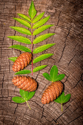 Similar image 10872451