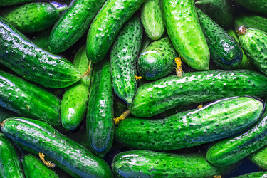 Similar image 10872454