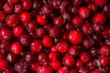 Similar image 10872515