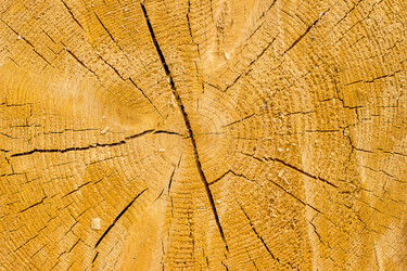 Similar image 10873163