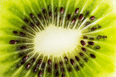 Similar image 10873168