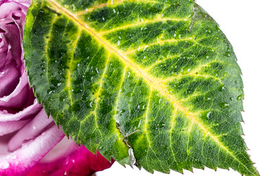 Similar image 10873185