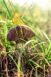 Similar image 10873193