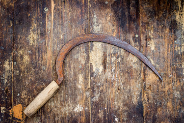 Similar image 10872579