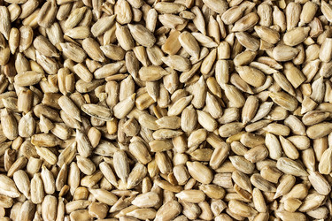 Similar image 10872645