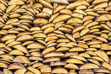 Similar image 10872906