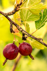 Similar image 10872910