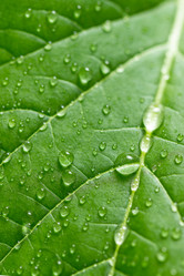 Similar image 10872960