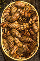 Similar image 10872659