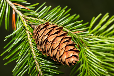 Similar image 10872660