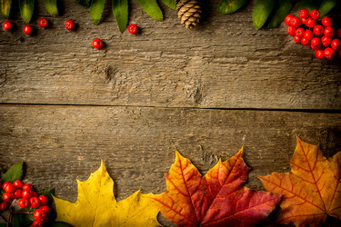 Similar image 10872676