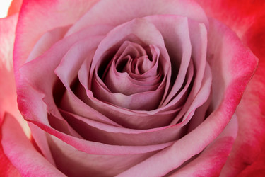 Similar image 10872677