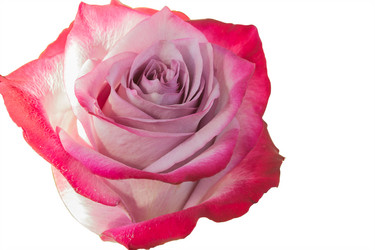 Similar image 10872678