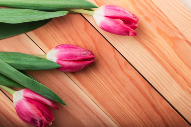 Similar image 10873226