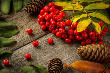 Similar image 10873231