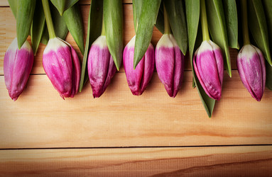 Similar image 10873243