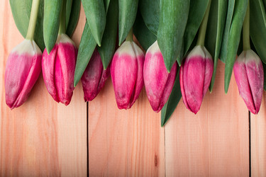 Similar image 10873245