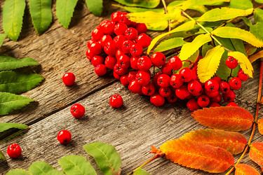 Similar image 10873317