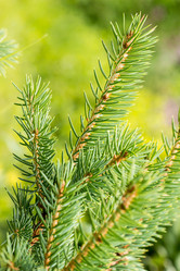 Similar image 10872833