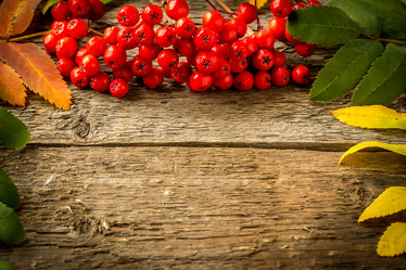 Similar image 10872834