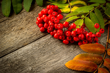 Similar image 10872836