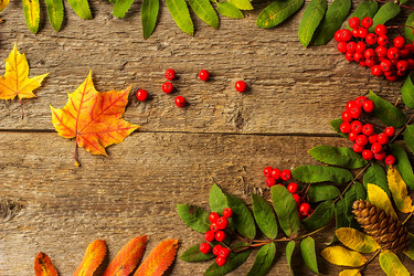 Similar image 10872843