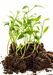 Similar image 10872857