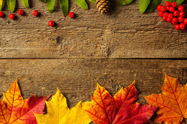 Similar image 10872461