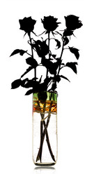 Similar image 10872861