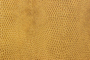 Similar image 10873174