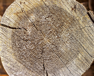 Similar image 10872661