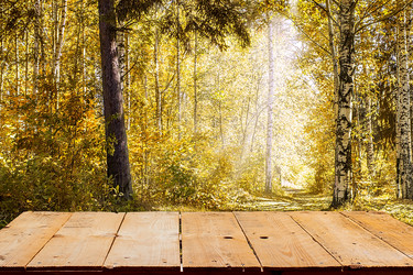 Similar image 10872662